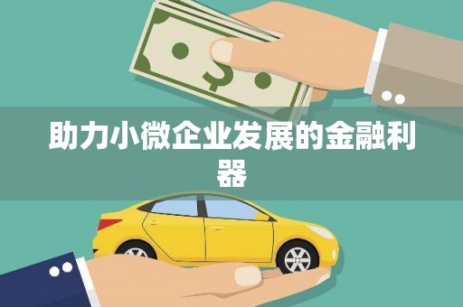 龙井助力小微企业发展的金融利器