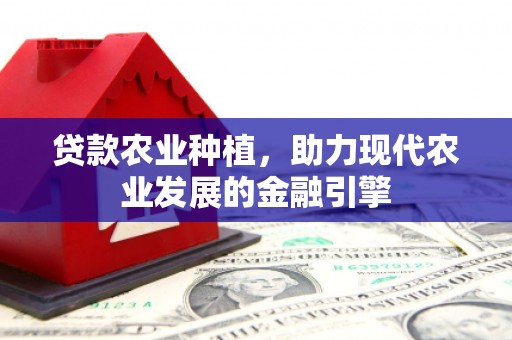 龙井贷款农业种植，助力现代农业发展的金融引擎