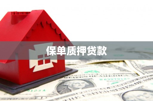 龙井保单质押贷款