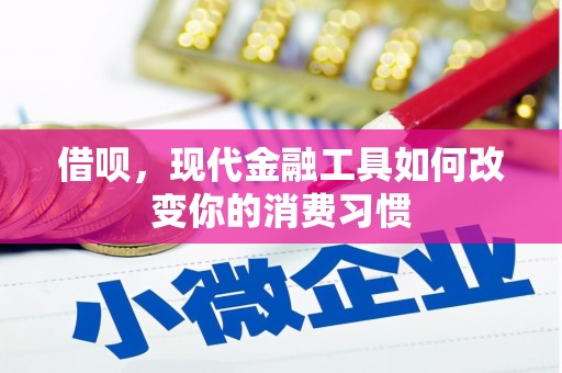 龙井借呗，现代金融工具如何改变你的消费习惯