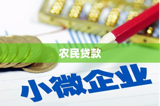 龙井农民贷款