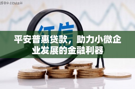 龙井平安普惠贷款，助力小微企业发展的金融利器
