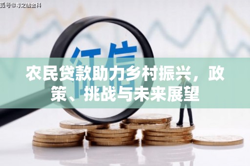 龙井农民贷款助力乡村振兴，政策、挑战与未来展望