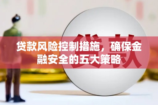 龙井贷款风险控制措施，确保金融安全的五大策略