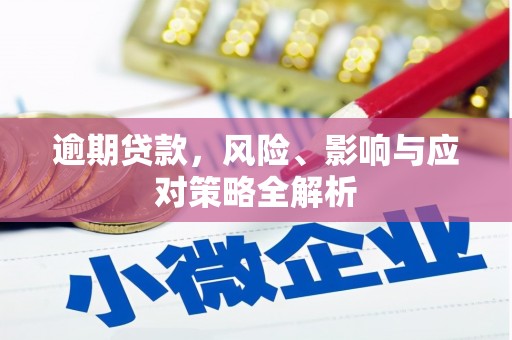 龙井逾期贷款，风险、影响与应对策略全解析