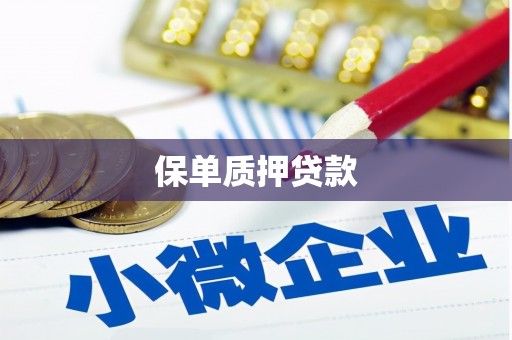 龙井保单质押贷款