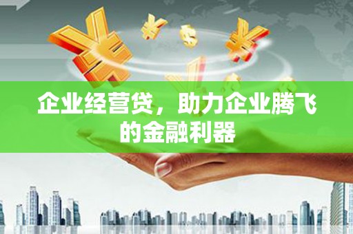 龙井企业经营贷，助力企业腾飞的金融利器