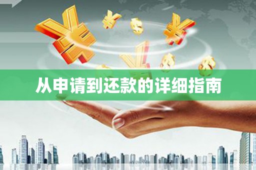 龙井从申请到还款的详细指南