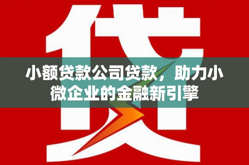 龙井小额贷款公司贷款，助力小微企业的金融新引擎