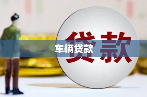 龙井车辆贷款
