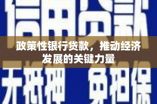 龙井政策性银行贷款，推动经济发展的关键力量