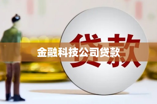 龙井金融科技公司贷款