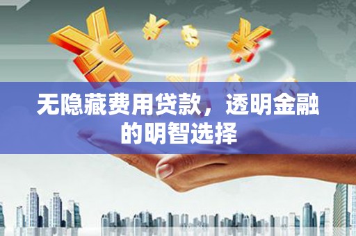 龙井无隐藏费用贷款，透明金融的明智选择