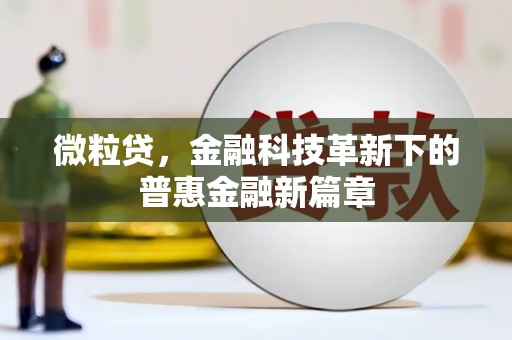龙井微粒贷，金融科技革新下的普惠金融新篇章