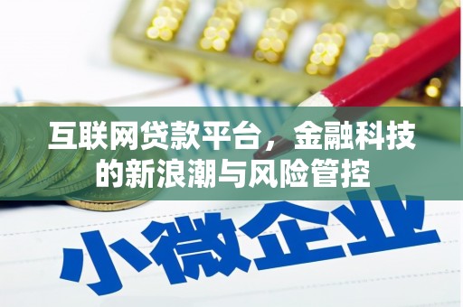 龙井互联网贷款平台，金融科技的新浪潮与风险管控