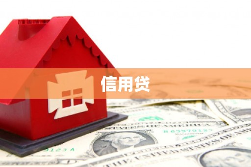 龙井信用贷