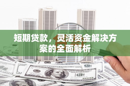龙井短期贷款，灵活资金解决方案的全面解析