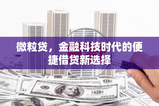 龙井微粒贷，金融科技时代的便捷借贷新选择