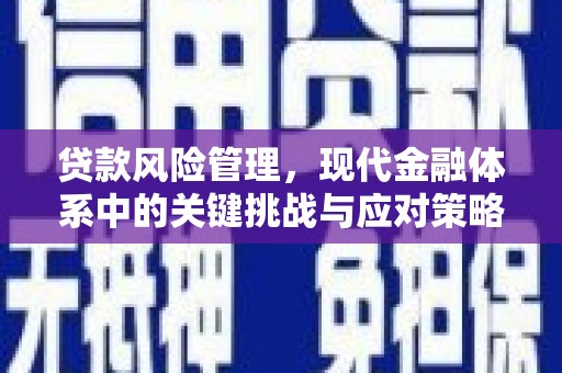 龙井贷款风险管理，现代金融体系中的关键挑战与应对策略