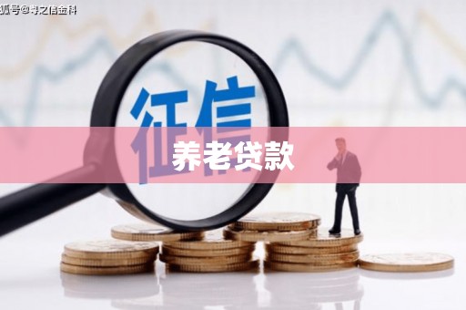 龙井养老贷款