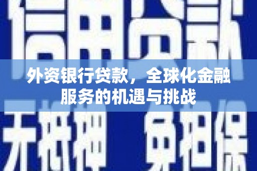 龙井外资银行贷款，全球化金融服务的机遇与挑战