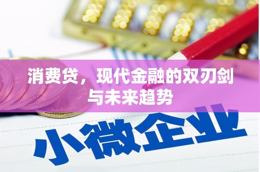 龙井消费贷，现代金融的双刃剑与未来趋势